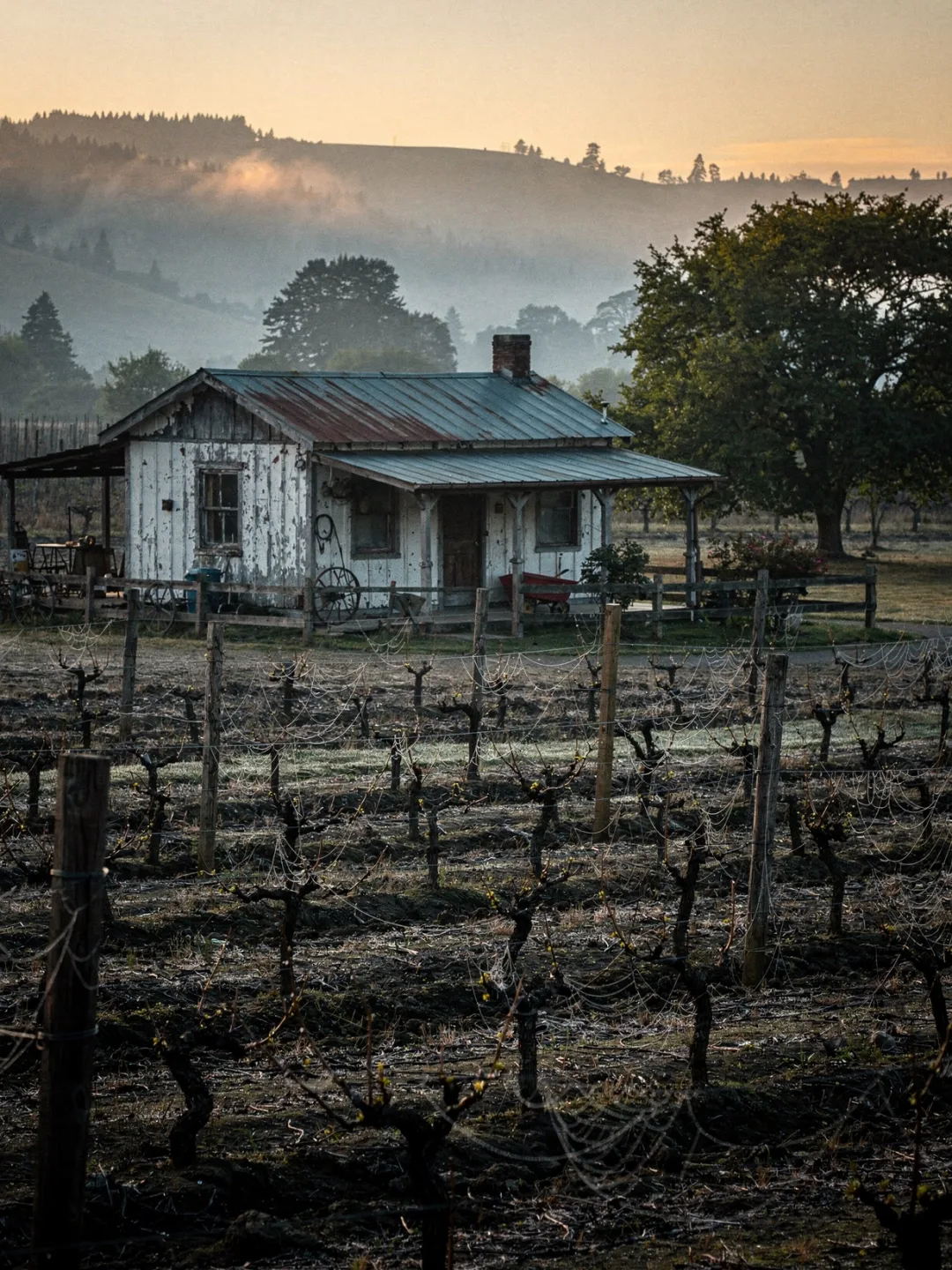 Region & Geschichte in der Region Oregon