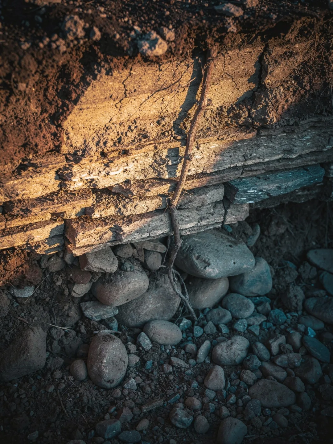 Böden in der Region Patagonien