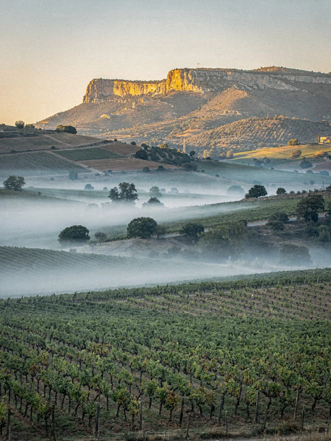 Klima in der Region Penedès