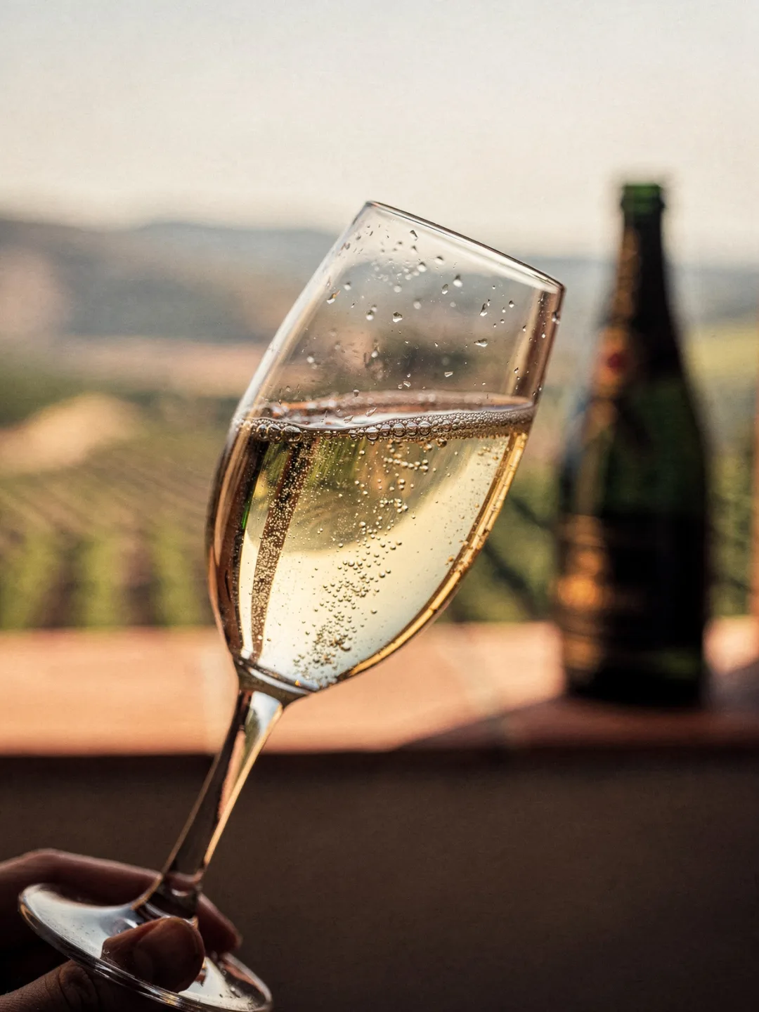 Verkosten in der Region Penedès