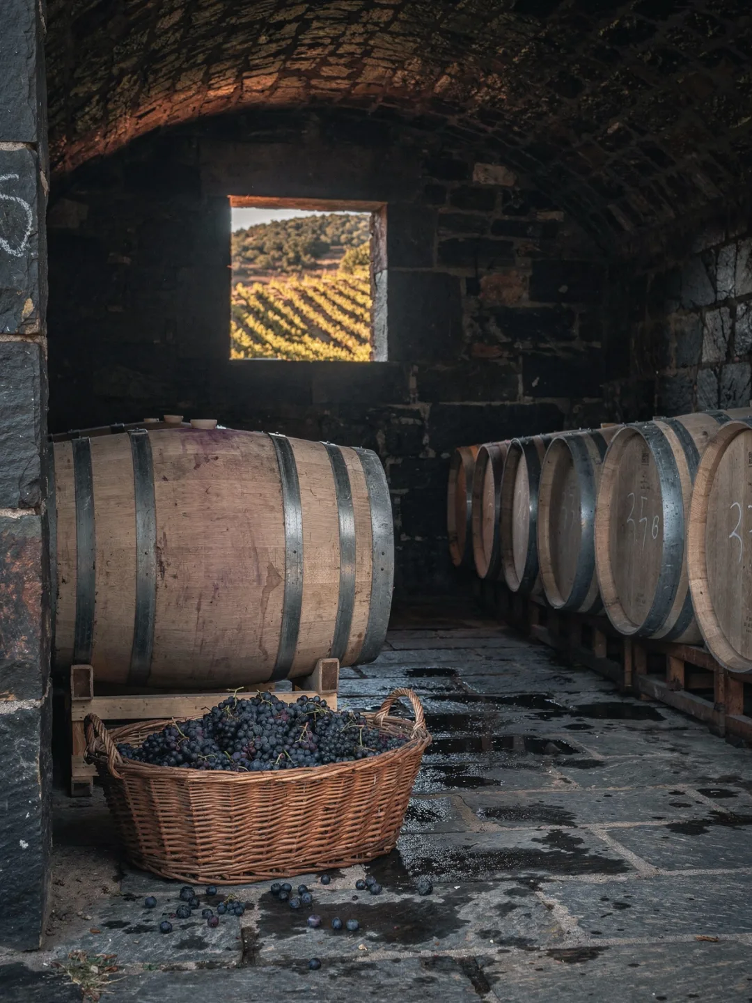 Herstellung in der Region Priorat