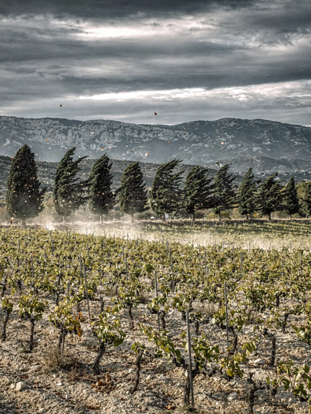 Klima in der Region Provence