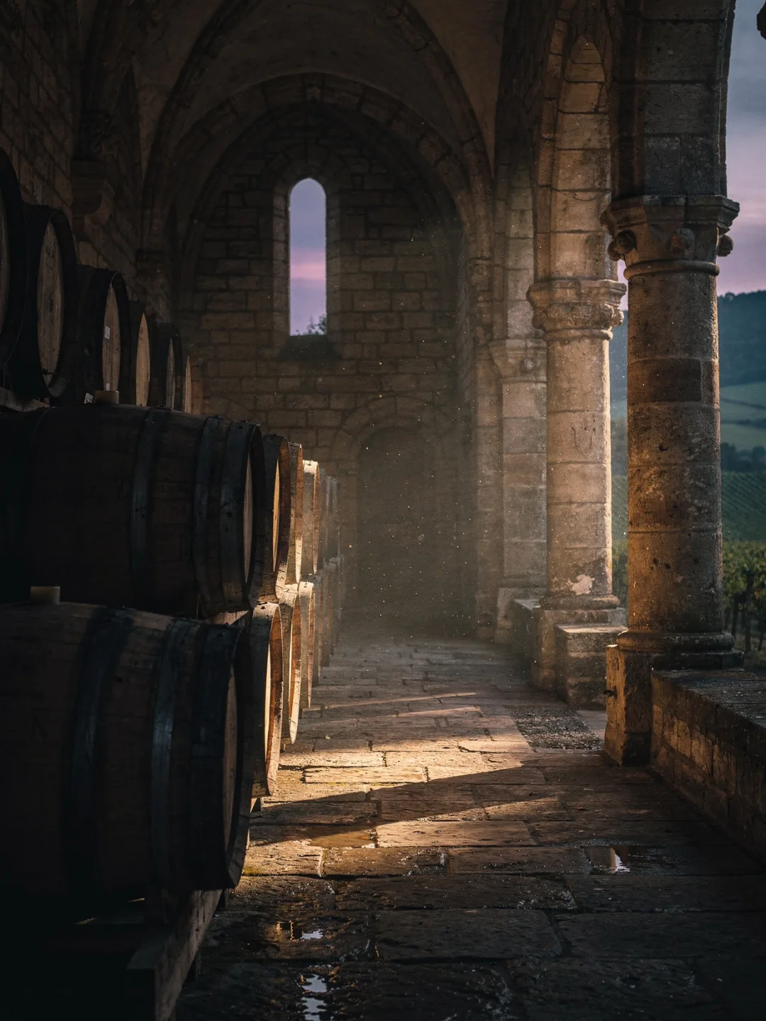 Region & Geschichte in der Region Rheingau