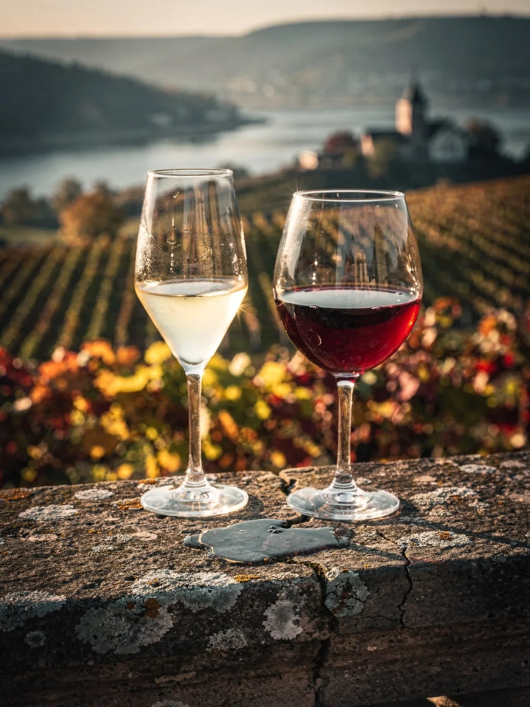 Gläser in der Region Rheingau