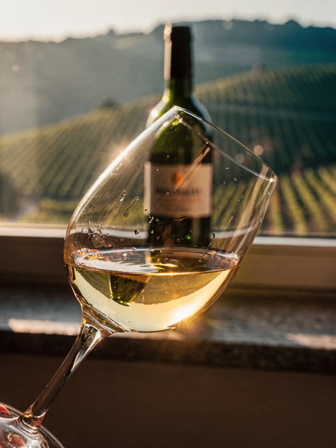 Verkosten in der Region Rheingau