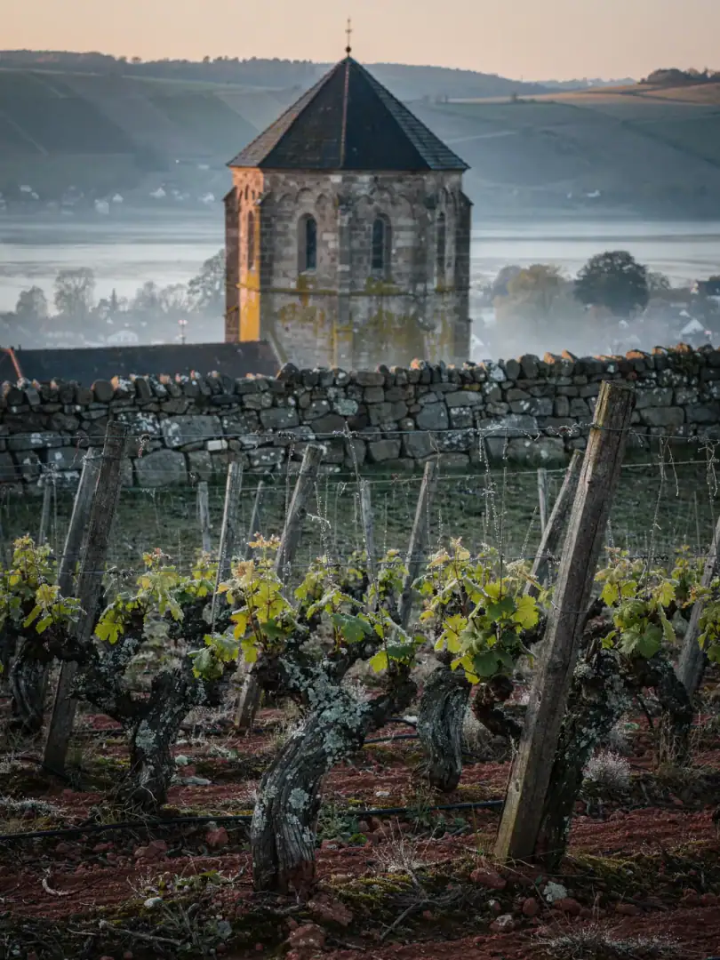 Region & History in the region Rheinhessen
