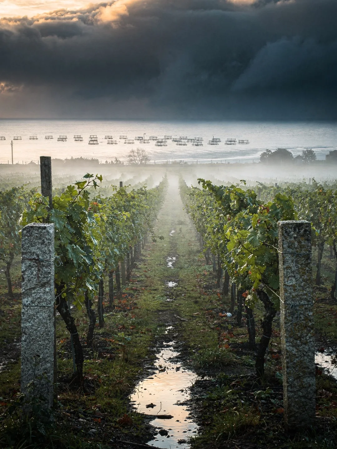 Klima in der Region Rías Baixas