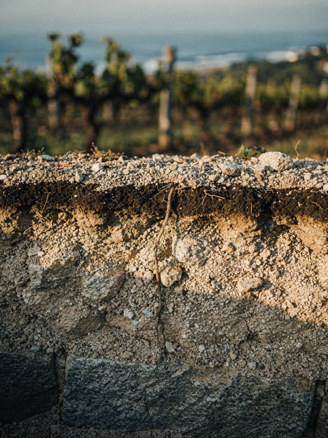 Böden in der Region Rías Baixas