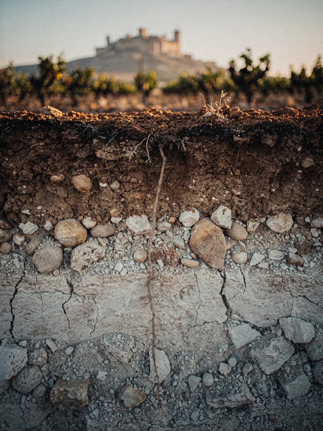 Böden in der Region Ribera del Duero