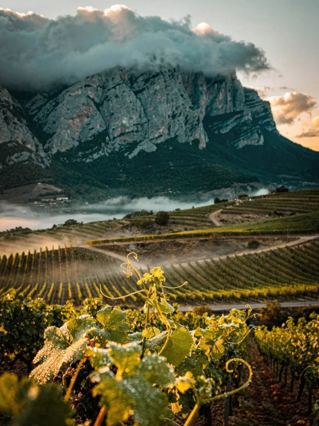 Klima in der Region Rioja