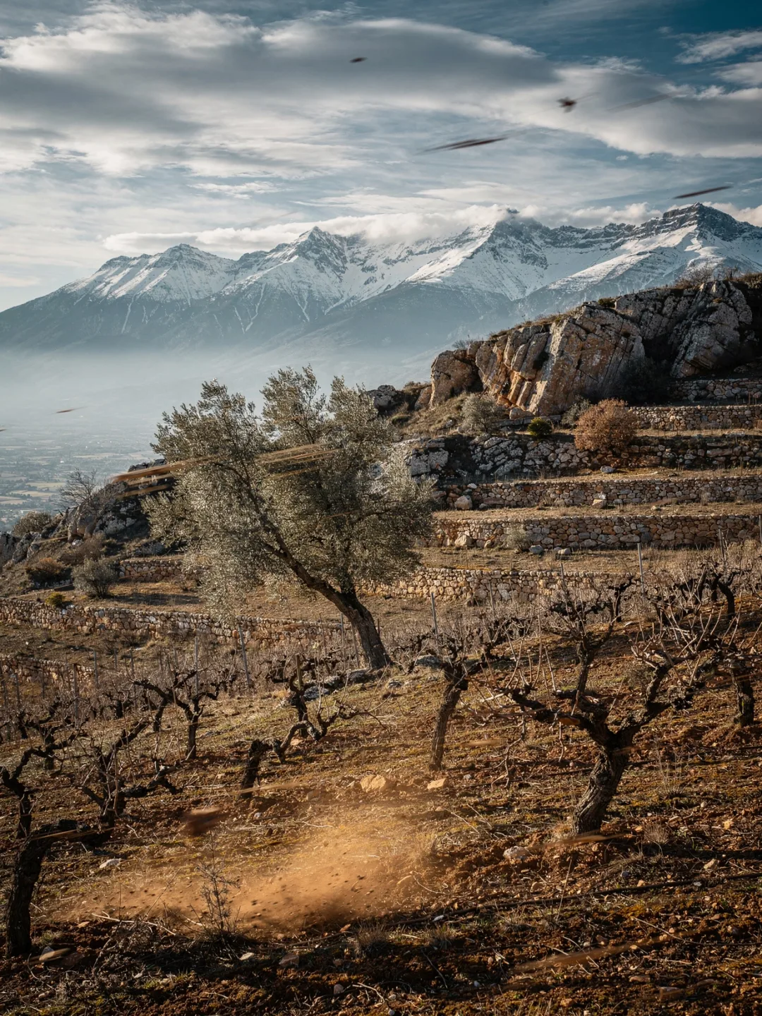 Klima in der Region Roussillon