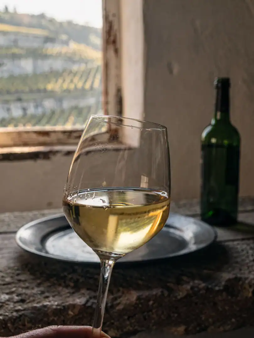 Tasting in the region Saale-Unstrut