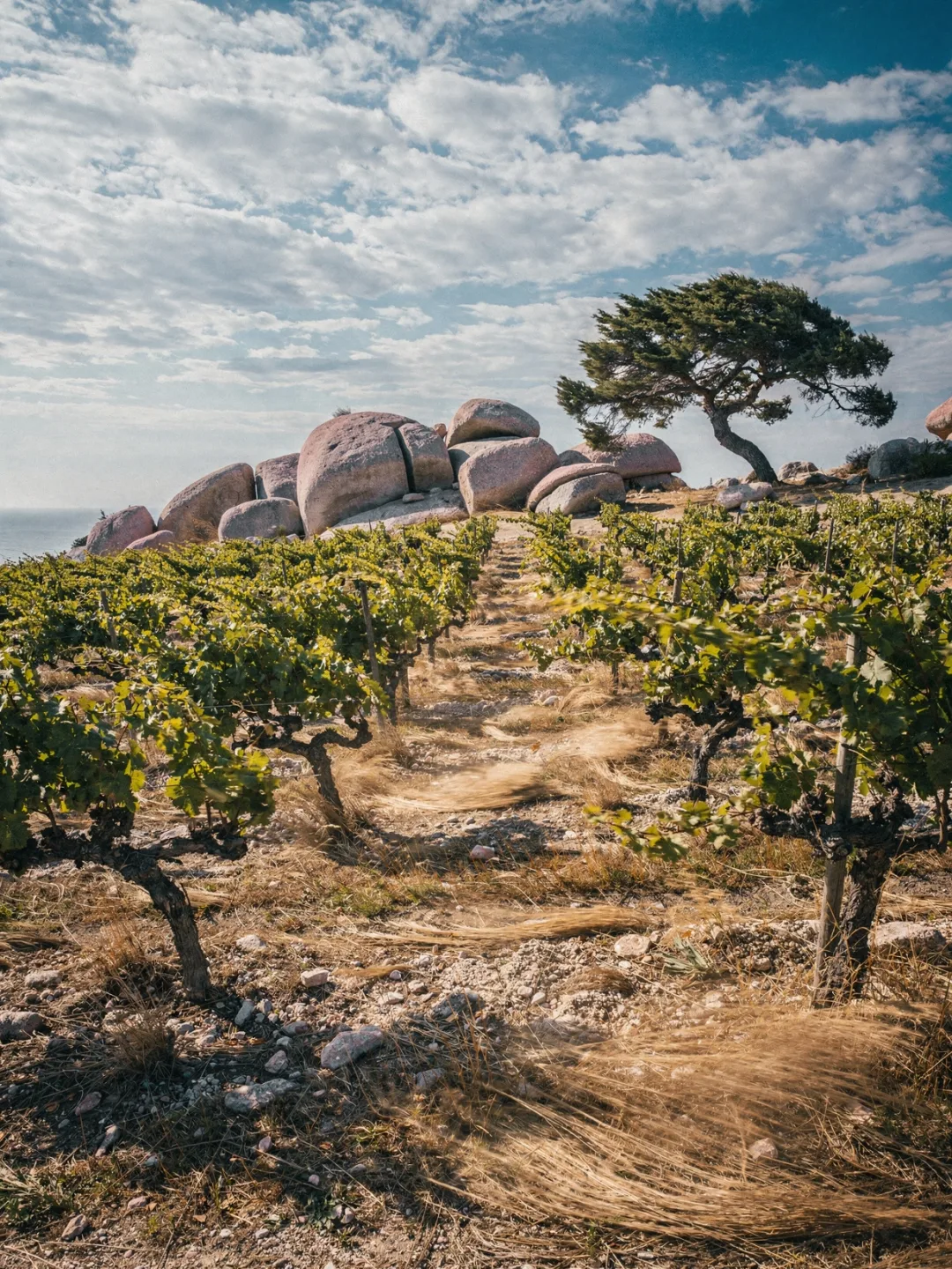 Klima in der Region Sardinien