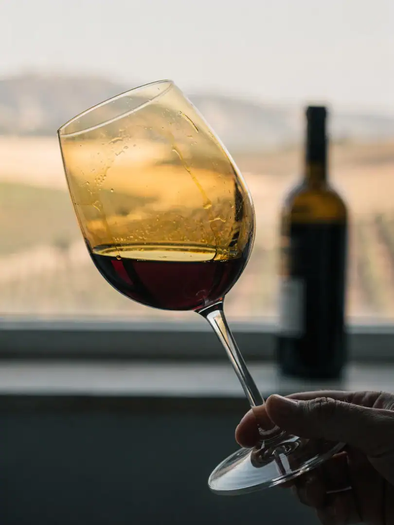 Tasting in the region Setúbal