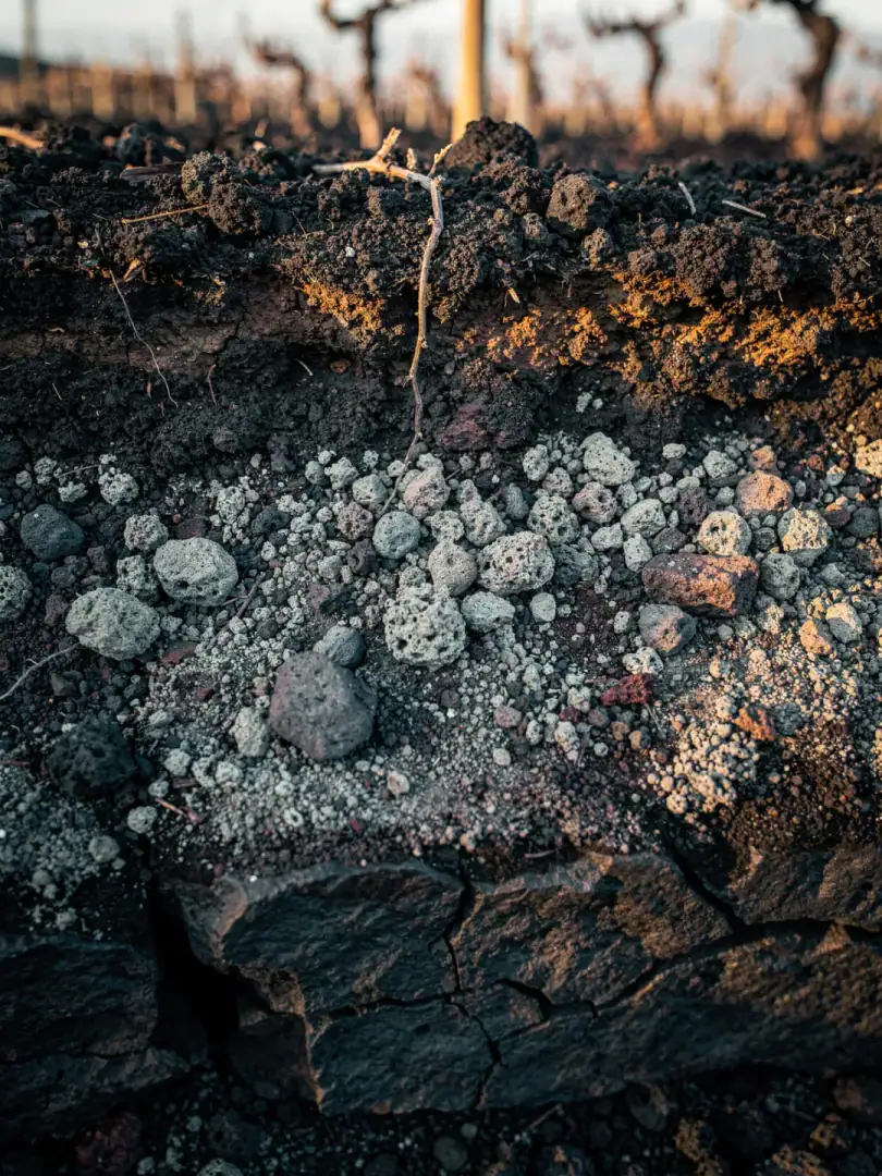 Soils in the region Sicily