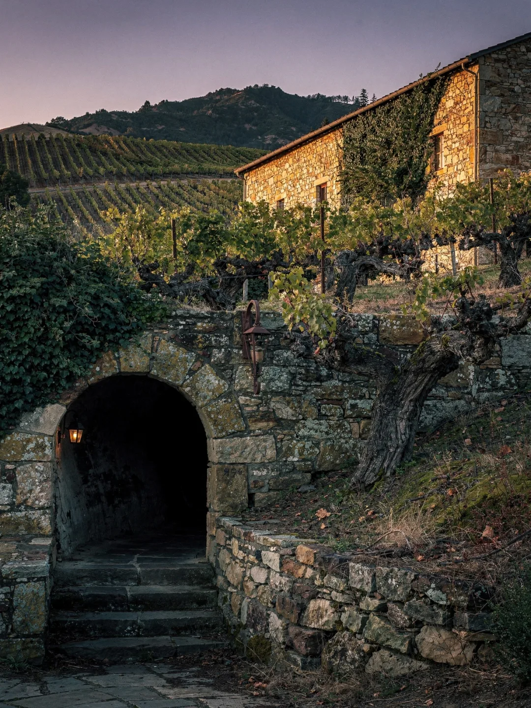 Region & Geschichte in der Region Sonoma
