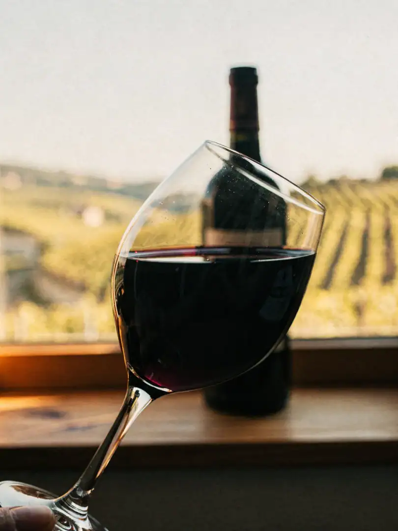 Tasting in the region Southwest France