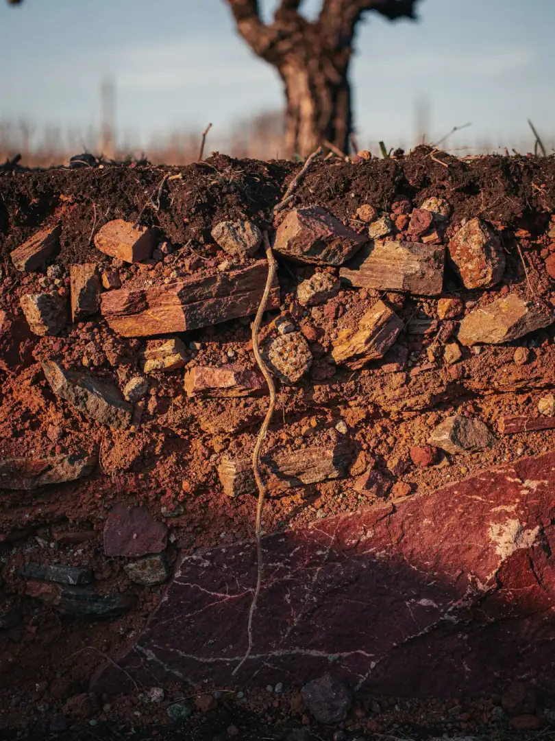 Soils in the region South Tyrol