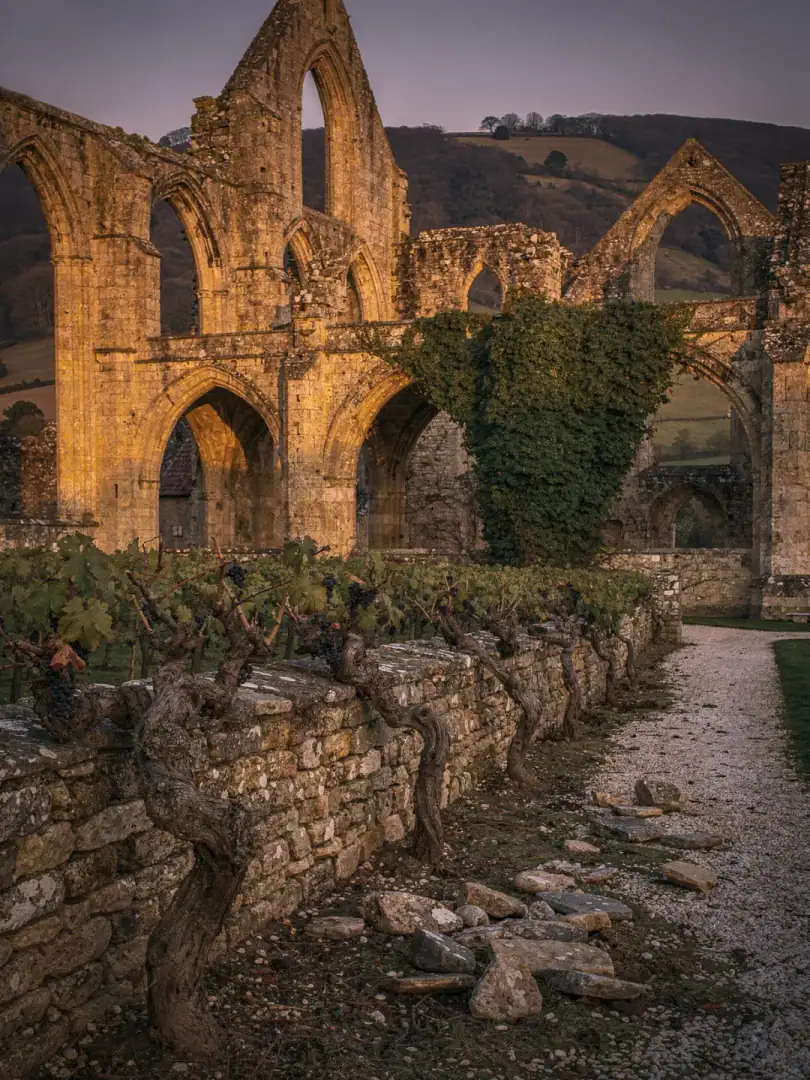 Region & History in the region Sussex