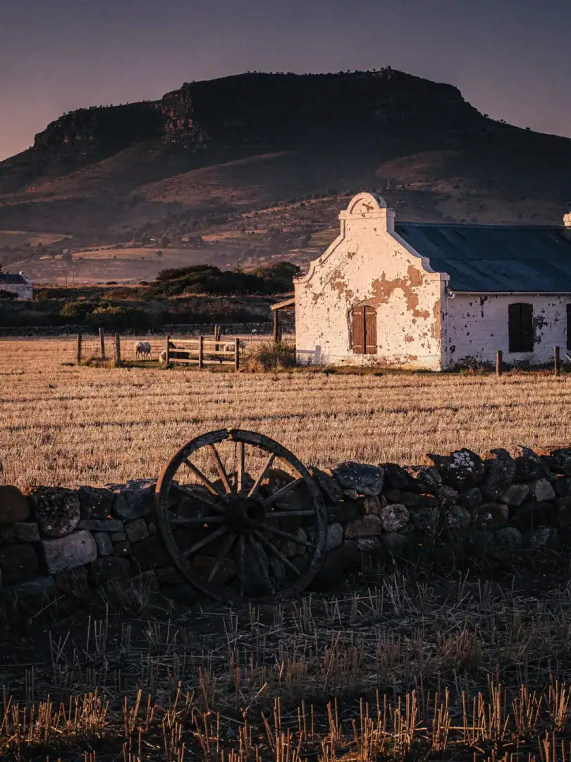 Region & History in the region Swartland