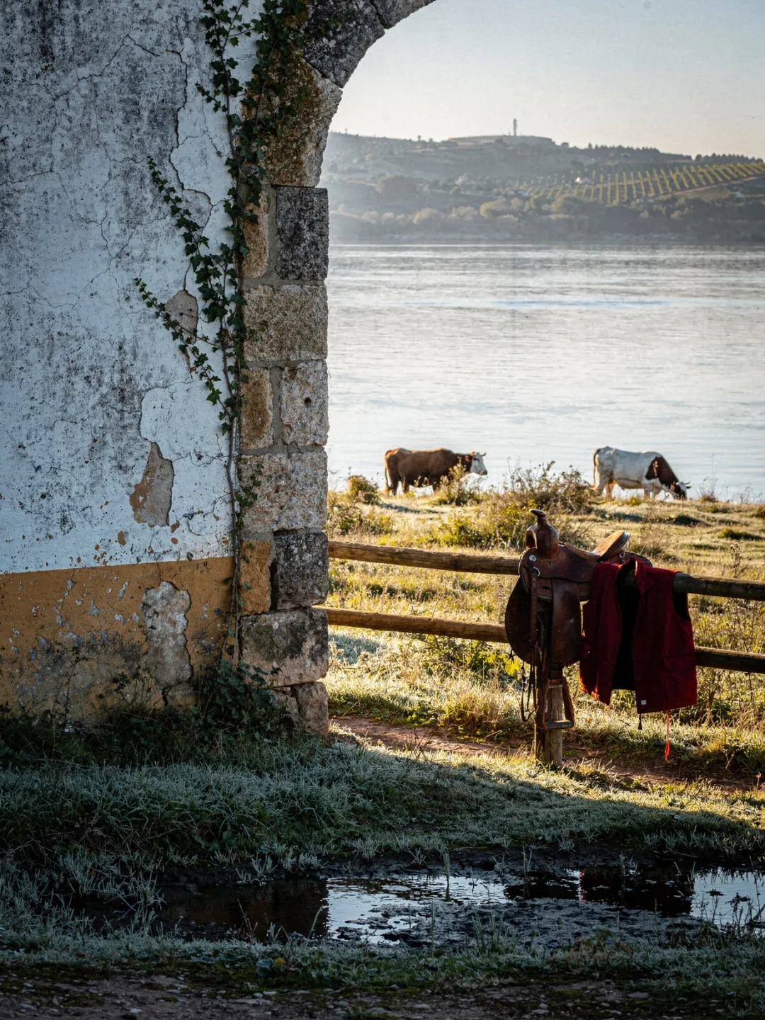 Region & Geschichte in der Region Tejo