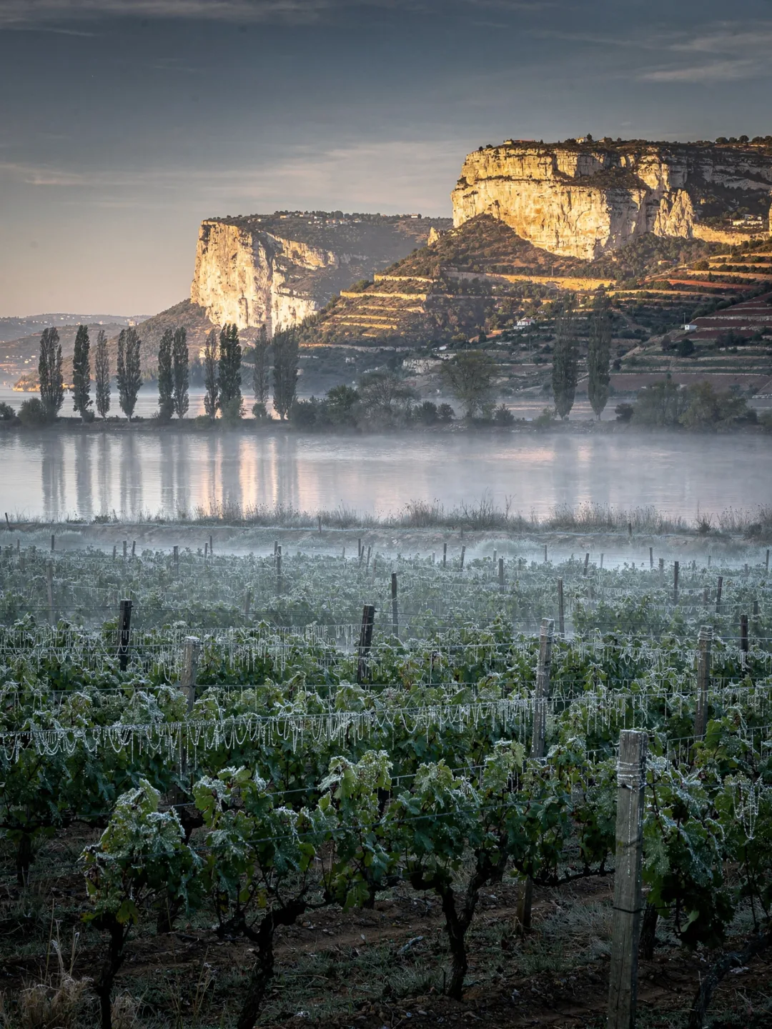 Klima in der Region Tejo