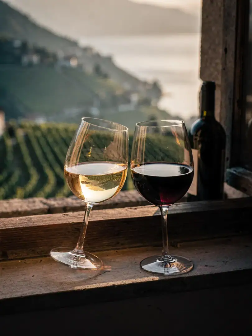 Tasting in the region Ticino