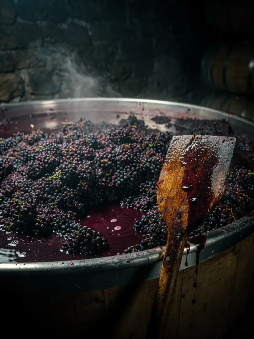 How Red Wine Is Made
