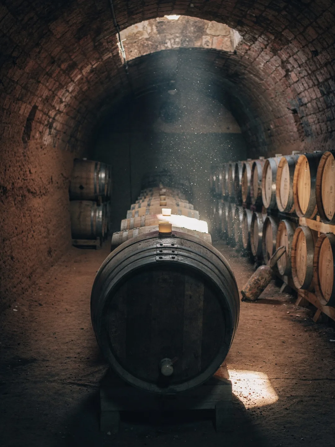 Herstellung in der Region Toro