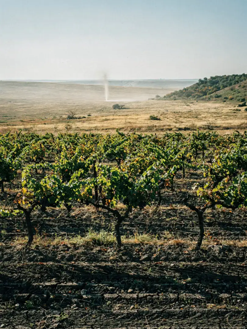 Climate in the region Valul lui Traian