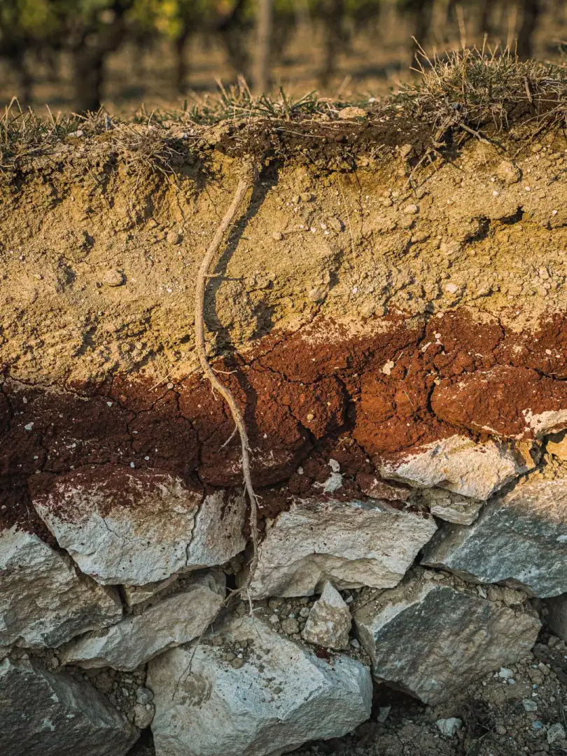 Soils in the region Villány