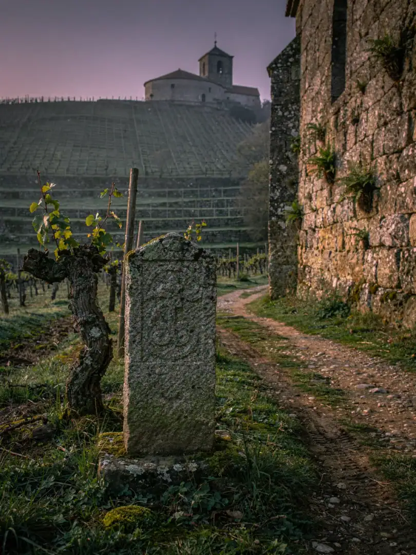 Region & History in the region Vinho Verde