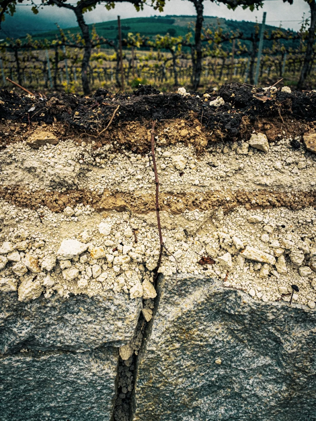 Böden in der Region Vinho Verde