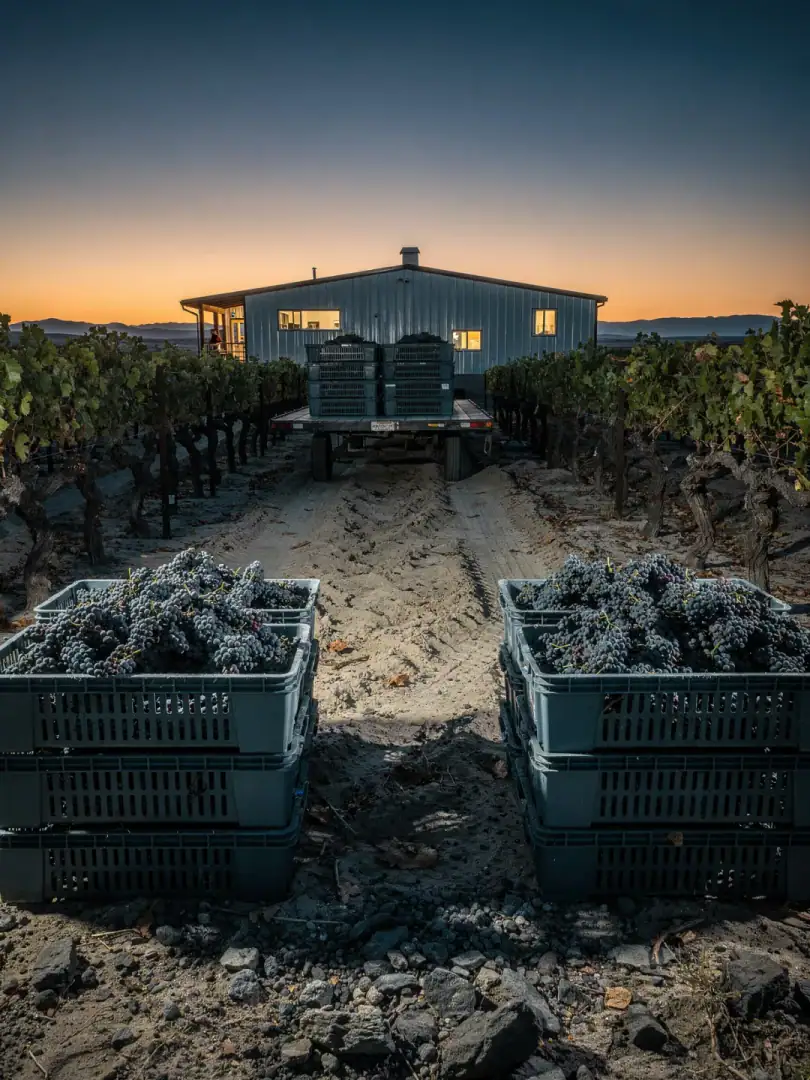 Winemaking in the region Washington