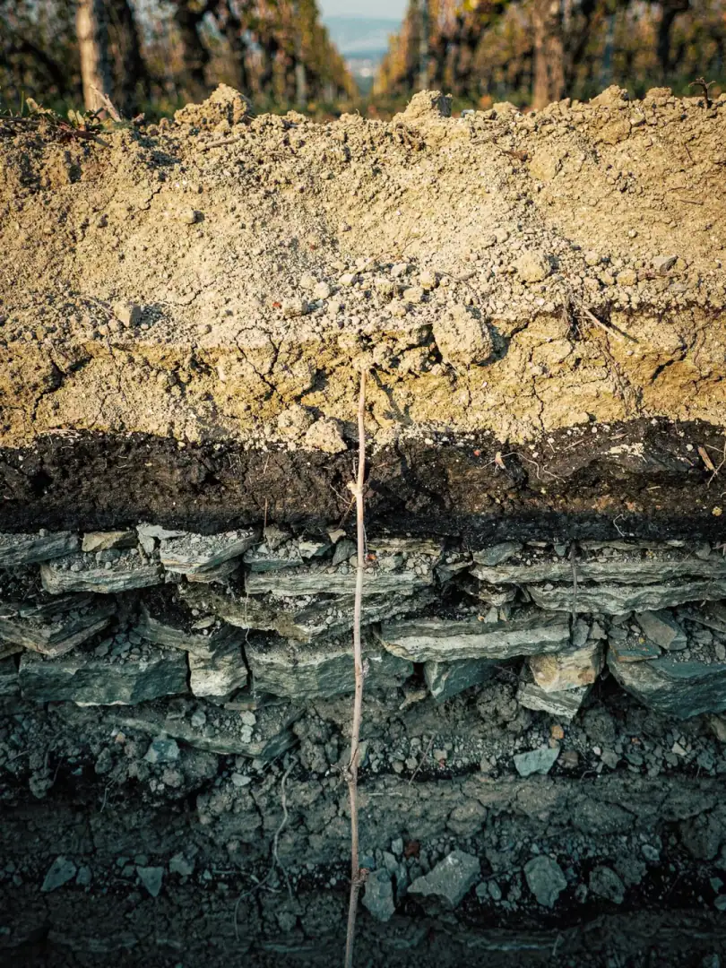 Soils in the region Vienna