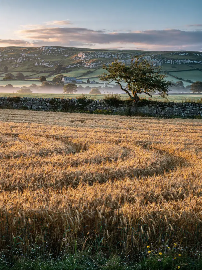 Grain in the region Cork & Munster