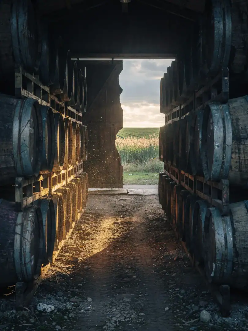 Fass & Reifung in der Region Dänischer Whisky