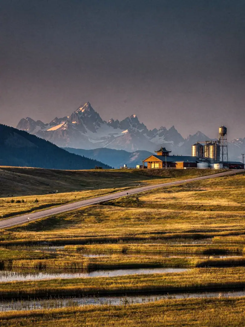 Landschaft der Region Alberta