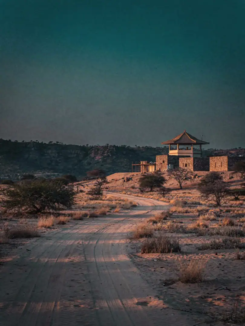 Landschaft der Region Nordindien & Rajasthan