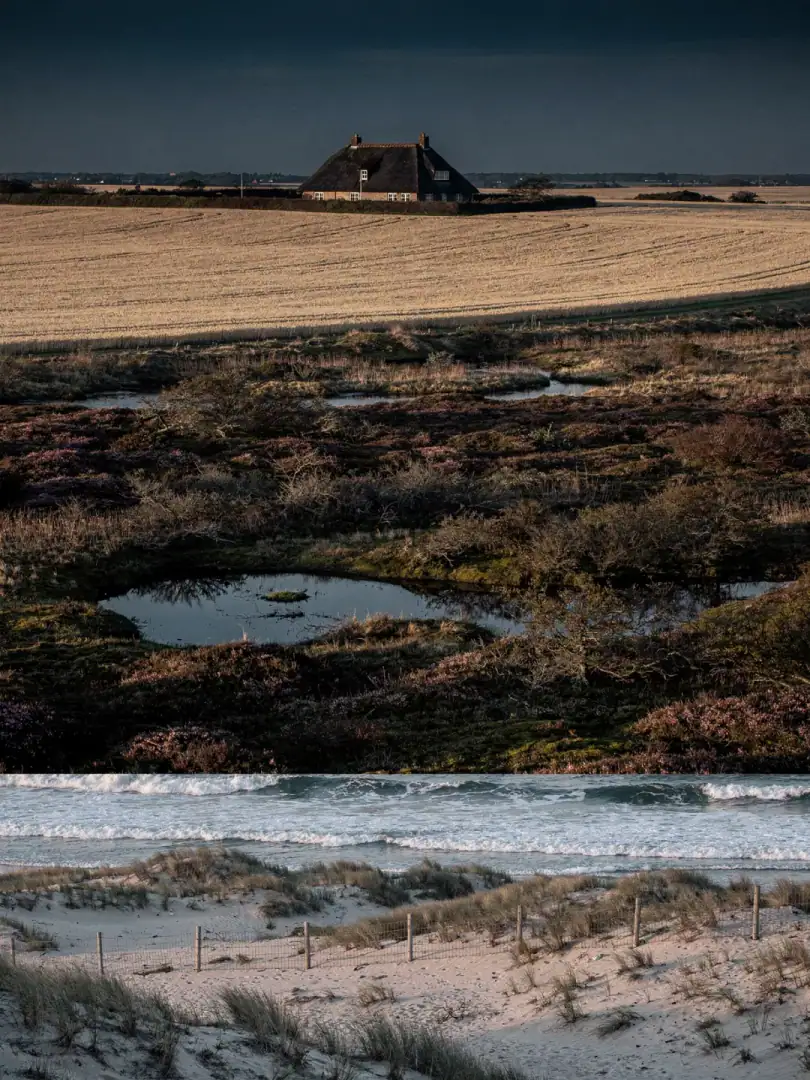 Dänische Nordseeküste mit Dünen und Feldern