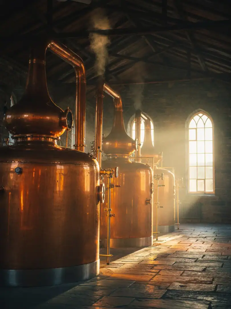 Distillation in the region Northern Ireland