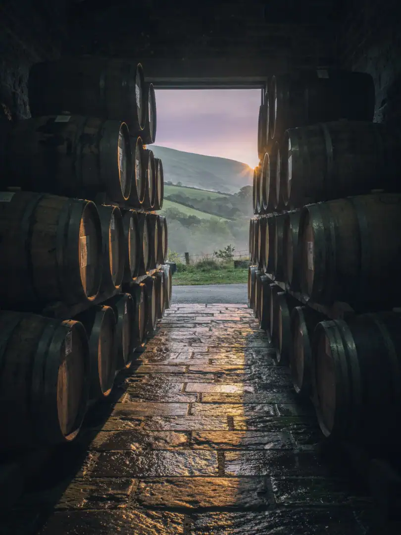 Cask & Maturation in the region Welsh Whisky