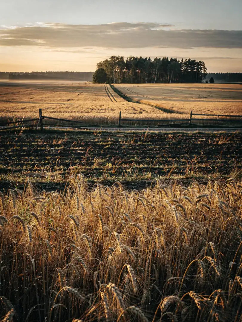Rohstoff in der Region Kaunas