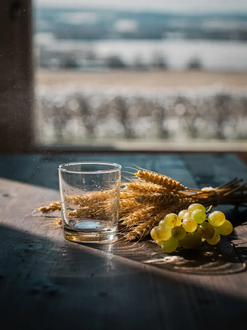 Tasting in the region Picardy & Cognac