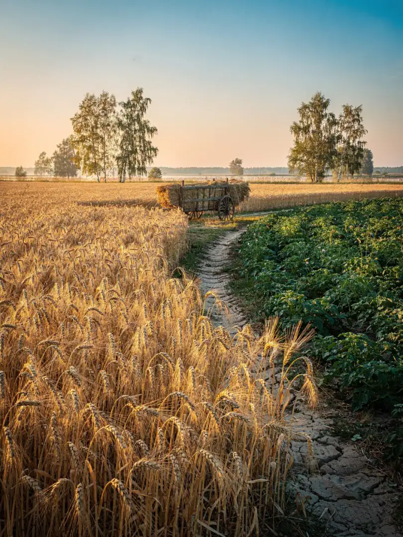 Rohstoff in der Region Podlachien