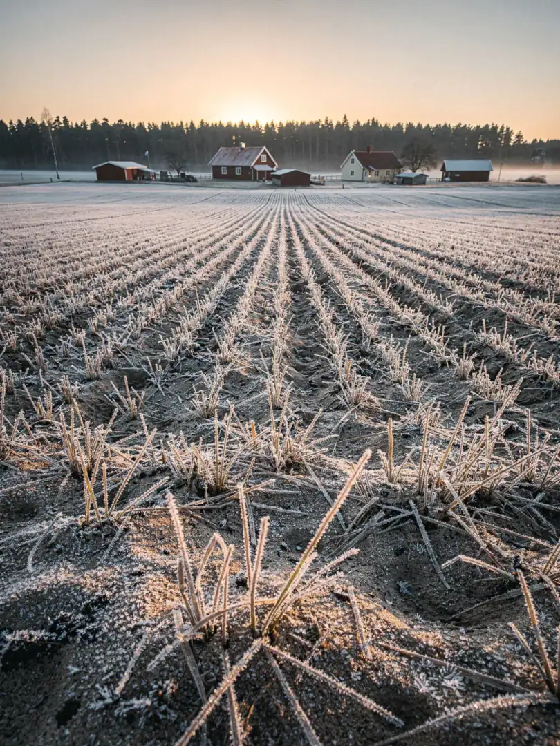 Rohstoff in der Region Skåne & Åhus