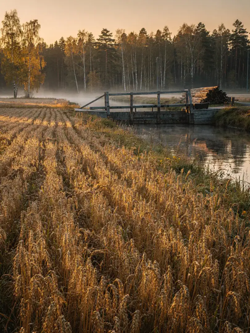 Rohstoff in der Region St. Petersburg & Nordwesten