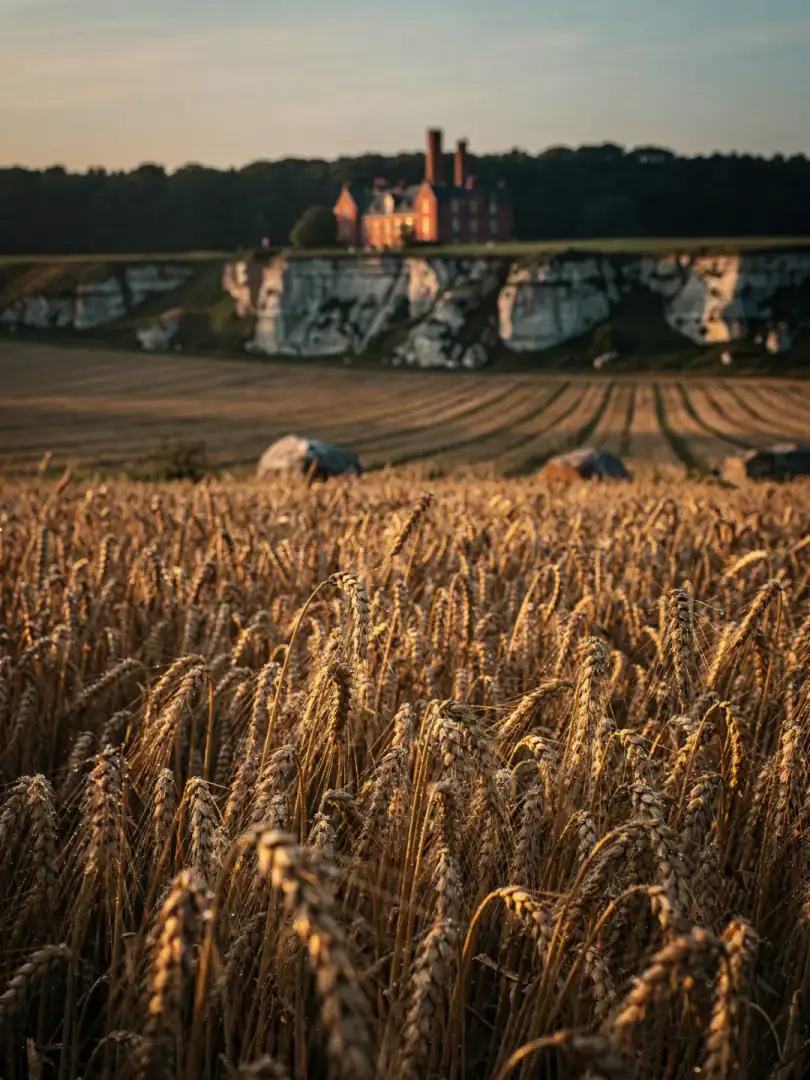 Rohstoff in der Region Tallinn & Nordestland