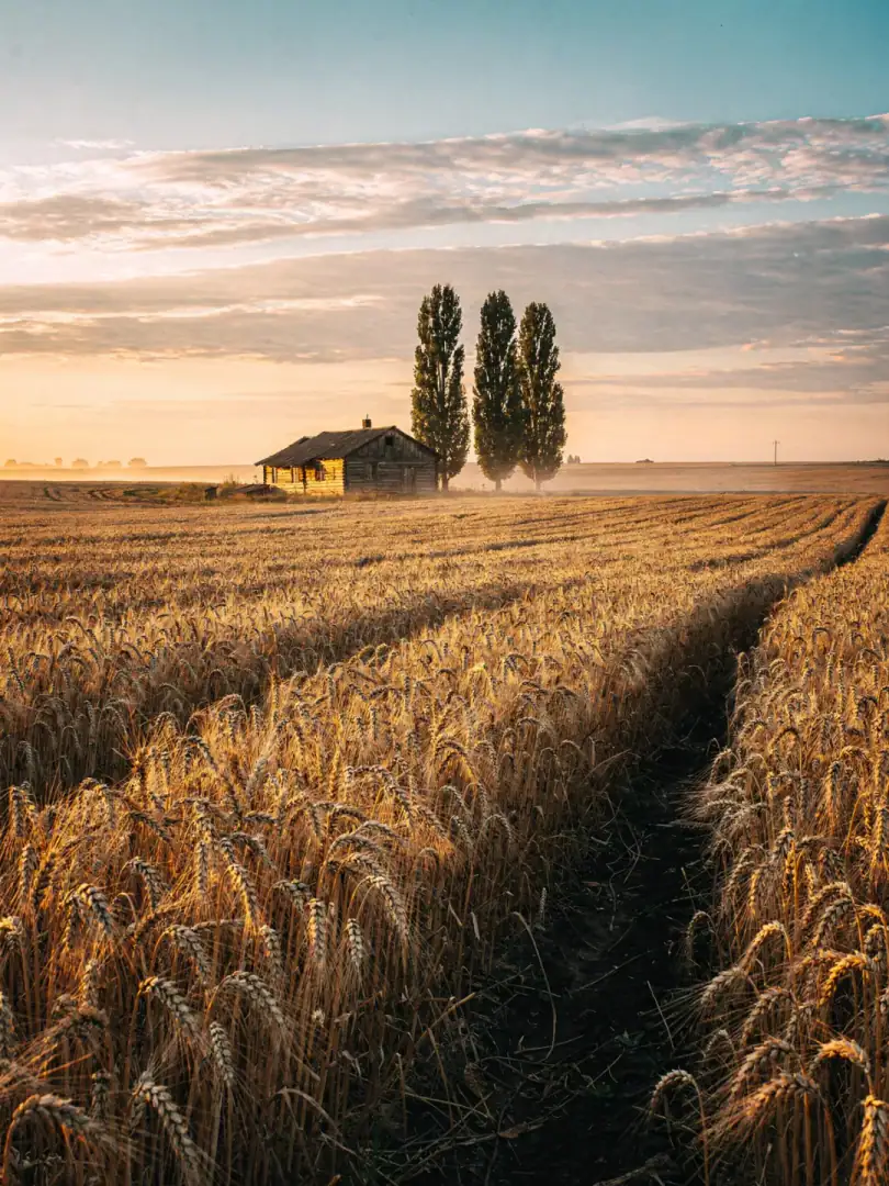 Rohstoff in der Region Zentralukraine
